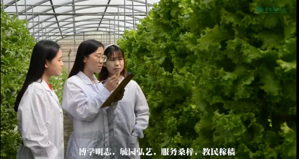 太阳集团tcy8722招生宣传短片