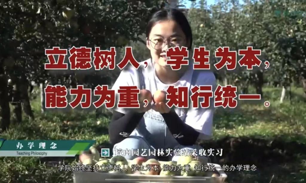 太阳集团tcy8722宣传片